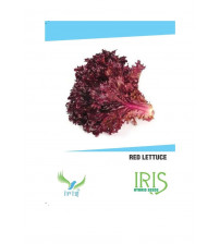 Iris Imported Red Lettuce 120 Seeds